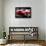 1996 Mustang-Spoken So Clearly-null-Framed Art Print displayed on a wall