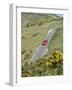 1996 Suzuki Baleno GS Sport on winding country lane,Dorset-null-Framed Photographic Print