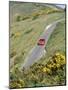 1996 Suzuki Baleno GS Sport on winding country lane,Dorset-null-Mounted Photographic Print