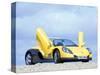 1997 Renault Sport Spider-null-Stretched Canvas