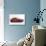 1998 Fiat Coupe-null-Photographic Print displayed on a wall