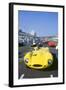 1998 Goodwood revival meeting. Jaguar D type, Martin Brundle-null-Framed Photographic Print