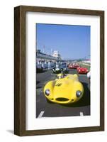 1998 Goodwood revival meeting. Jaguar D type, Martin Brundle-null-Framed Photographic Print