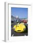 1998 Goodwood revival meeting. Jaguar D type, Martin Brundle-null-Framed Photographic Print