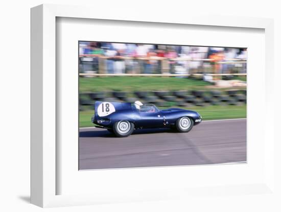 1998 Goodwood Revival meeting.Jaguar D type-null-Framed Photographic Print