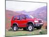 1998 Isuzu Trooper Duty-null-Mounted Photographic Print