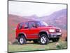 1998 Isuzu Trooper Duty-null-Mounted Photographic Print