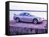 1998 Nissan Skyline GTR-null-Framed Stretched Canvas