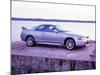 1998 Nissan Skyline GTR-null-Mounted Photographic Print