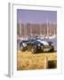 1999 AC Cobra Brooklands-null-Framed Photographic Print