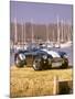 1999 AC Cobra Brooklands-null-Mounted Photographic Print