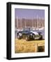 1999 AC Cobra Brooklands-null-Framed Photographic Print