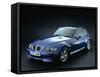 1999 BMW Z3 M coupe-null-Framed Stretched Canvas