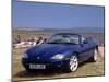 1999 Jaguar XK8-null-Mounted Photographic Print