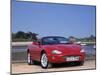 1999 Jaguar XKR-null-Mounted Photographic Print