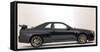 1999 Nissan Skyline GTR-34-null-Framed Stretched Canvas