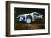 1999 Peugeot 206 WRC Network Q Rally, Gronholm-null-Framed Photographic Print