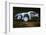 1999 Peugeot 206 WRC Network Q Rally, Gronholm-null-Framed Photographic Print