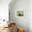 19CO-Pierre Henri Matisse-Framed Giclee Print displayed on a wall