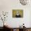 19COF-Pierre Henri Matisse-Giclee Print displayed on a wall