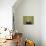 19COF-Pierre Henri Matisse-Mounted Giclee Print displayed on a wall