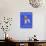 19G-Pierre Henri Matisse-Giclee Print displayed on a wall