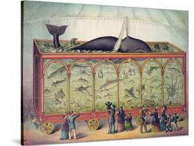 19th Century Circus Aquarium, 1873-null-Stretched Canvas