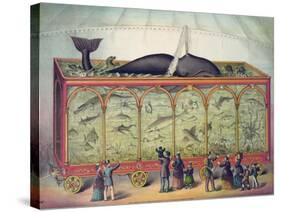 19th Century Circus Aquarium, 1873-null-Stretched Canvas