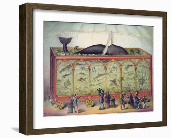 19th Century Circus Aquarium, 1873-null-Framed Giclee Print