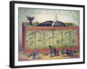 19th Century Circus Aquarium, 1873-null-Framed Giclee Print