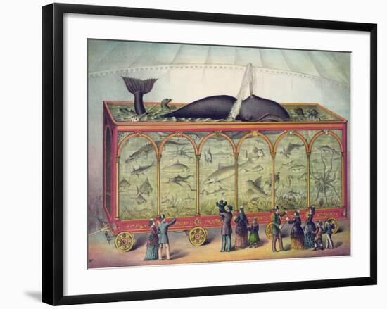 19th Century Circus Aquarium, 1873-null-Framed Giclee Print