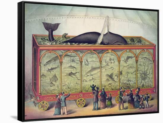 19th Century Circus Aquarium, 1873-null-Framed Stretched Canvas