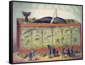 19th Century Circus Aquarium, 1873-null-Framed Stretched Canvas