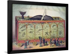 19th Century Circus Aquarium, 1873-null-Framed Giclee Print