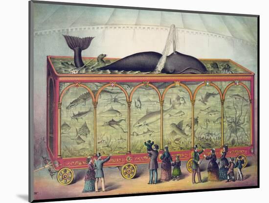 19th Century Circus Aquarium, 1873-null-Mounted Giclee Print