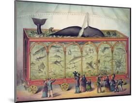 19th Century Circus Aquarium, 1873-null-Mounted Giclee Print