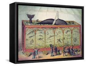 19th Century Circus Aquarium, 1873-null-Framed Stretched Canvas