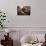 19th Century Cottage Interior, Arran Heritage Museum, Brodick, Arran, North Ayrshire, Scotland-Peter Thompson-Photographic Print displayed on a wall