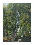 Jungle Cascade-19th Century English School -Mounted Premium Giclee Print