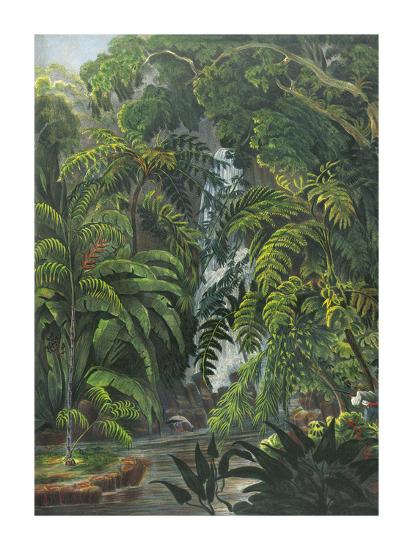 Premium Giclee Print, , large