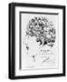 19th-century Phrenology-Library of Congress-Framed Photographic Print