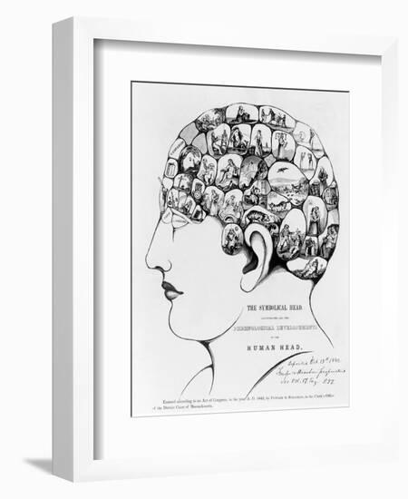 19th-century Phrenology-Library of Congress-Framed Photographic Print