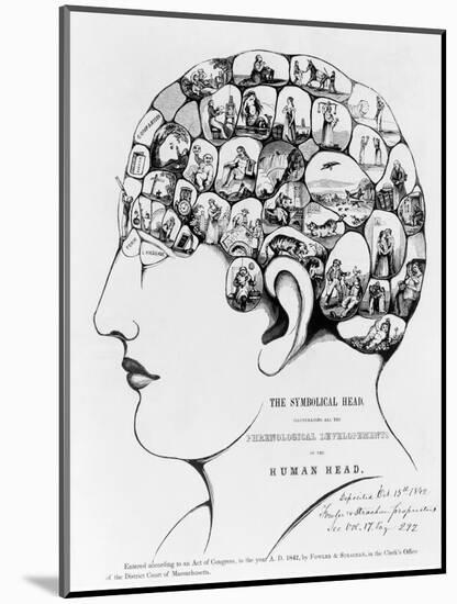 19th-century Phrenology-Library of Congress-Mounted Photographic Print