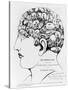 19th-century Phrenology-Library of Congress-Stretched Canvas