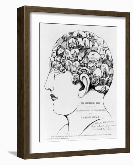 19th-century Phrenology-Library of Congress-Framed Photographic Print