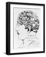 19th-century Phrenology-Library of Congress-Framed Photographic Print