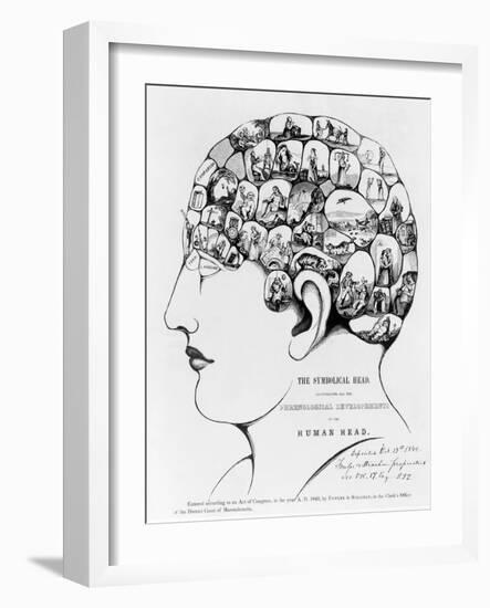 19th-century Phrenology-Library of Congress-Framed Photographic Print