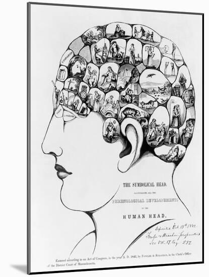 19th-century Phrenology-Library of Congress-Mounted Photographic Print