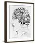 19th-century Phrenology-Library of Congress-Framed Photographic Print