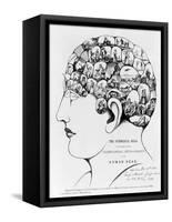 19th-century Phrenology-Library of Congress-Framed Stretched Canvas